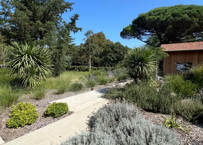 L'arribera Luxe Piscine Foret Landes