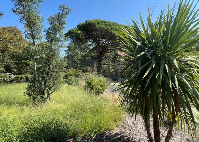 L'arribera Luxe Piscine Foret Landes