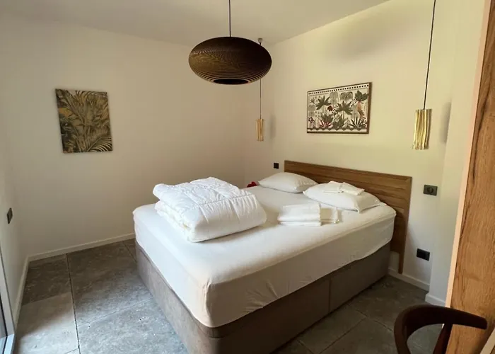 Villa L'arribera Luxe Piscine Foret Landes Mimizan